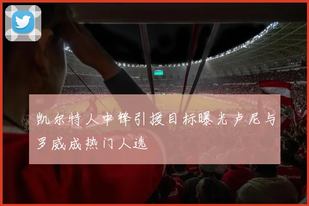 凯尔特人中锋引援目标曝光卢尼与罗威成热门人选